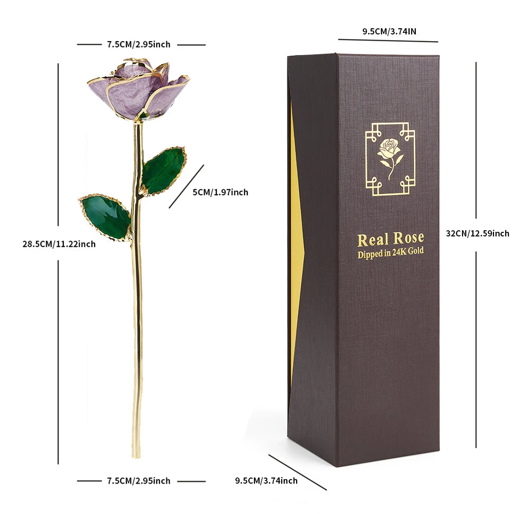 24K Gold Dipped Real Rose Set 5Colors Teal Black Blue Red Purple with Luxury Gift Box Valentine's Day Anniversary Birthday Gifts