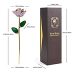 24K Gold Dipped Real Rose Set 5Colors Teal Black Blue Red Purple with Luxury Gift Box Valentine's Day Anniversary Birthday Gifts