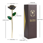 24K Gold Dipped Real Rose Set 5Colors Teal Black Blue Red Purple with Luxury Gift Box Valentine's Day Anniversary Birthday Gifts