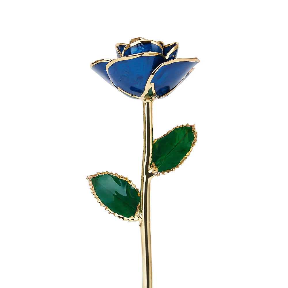24K Gold Dipped Real Rose Set 5Colors Teal Black Blue Red Purple with Luxury Gift Box Valentine's Day Anniversary Birthday Gifts