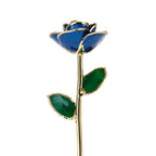 24K Gold Dipped Real Rose Set 5Colors Teal Black Blue Red Purple with Luxury Gift Box Valentine's Day Anniversary Birthday Gifts