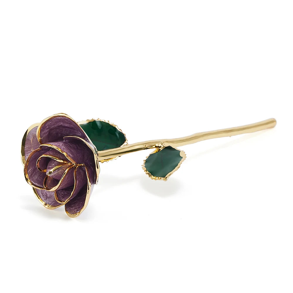 24K Gold Dipped Real Rose Set 5Colors Teal Black Blue Red Purple with Luxury Gift Box Valentine's Day Anniversary Birthday Gifts