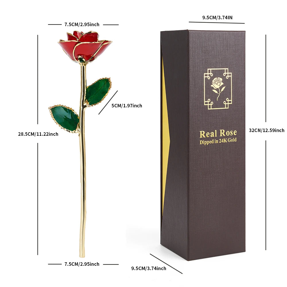 24K Gold Dipped Real Rose Set 5Colors Teal Black Blue Red Purple with Luxury Gift Box Valentine's Day Anniversary Birthday Gifts